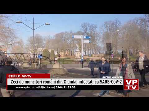 Zeci de muncitori români din Olanda, infectaţi cu SARS-CoV-2