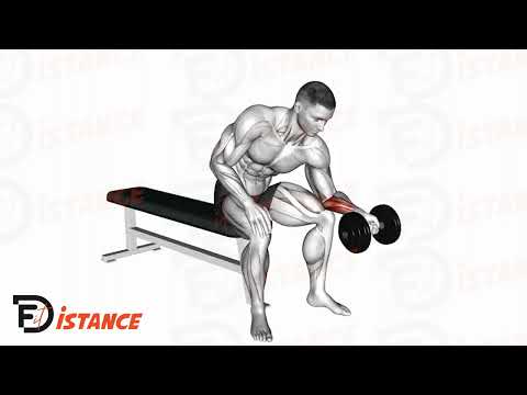 Curls avant-bras supination - Exercice Curls avant-bras supination en vidéo