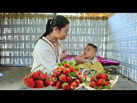 Single mother Tieu Ca insulated her house using self-adhesive foam panels.