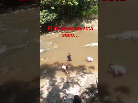 Maynas-Iquitos.