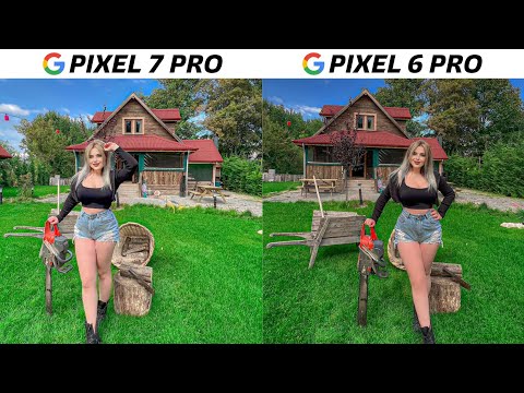 Google Pixel 7 Pro vs Google Pixel 6 Pro Camera Test