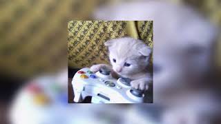 Cover art for Les Sped up