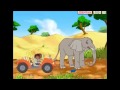 GO Diego Go Diego