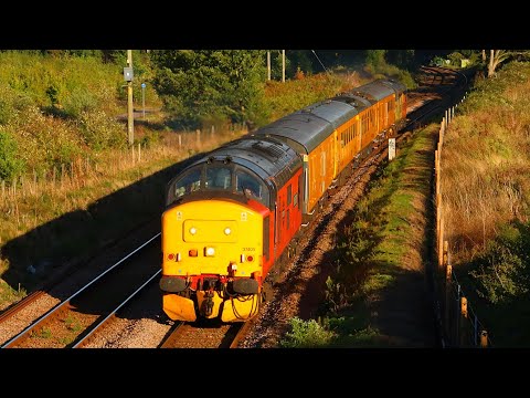 37405 & 37175 Tones & Thrash around Norfolk