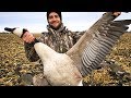 How To Clean A Goose