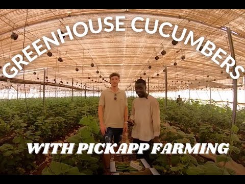 COLLECT DATA STRAIGHT FROM YOUR GREENHOUSE WITH PICKAPP FARMING!!  logo