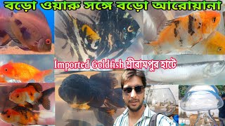 রবিবারের শ্রীরামপুরের রঙিন মাছের হাট | Aquarium Fish Shop Sunday Haat | Aquarium Fish Price | Fish 