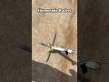 DIY HOMEMADE SUGAR ROCKET FROM RickCreative HOW TO MAKE ROCKET STEP BY STEP EPIC LAUNCH