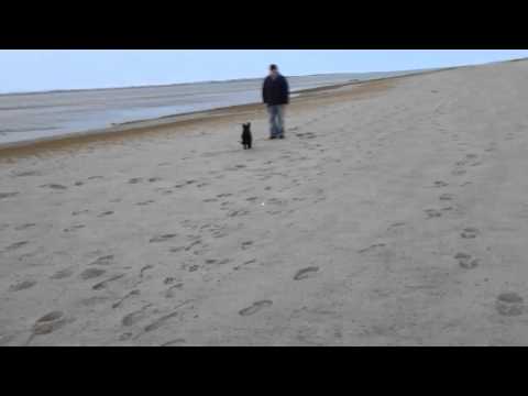 Dorcas Lanes first trip to the beach