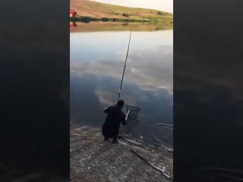 pescuit balta dobresti