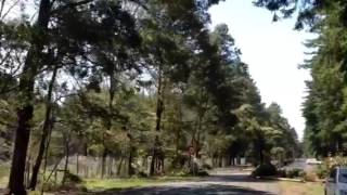 Windy Rotorua