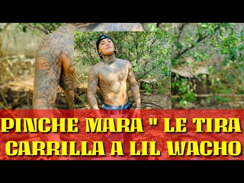 Pinche Mara TIRA CARRILLA a Lil wacho???