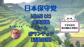 日本保守党　6月6日(土)各支部長　チーム・ボランティアの皆様の【活動日程】