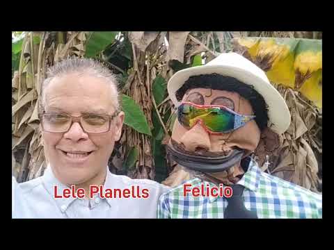 Que le dijo el pato de #1 a la pata de Camagüey cuando le dijo que el pollito era hijo de él?
