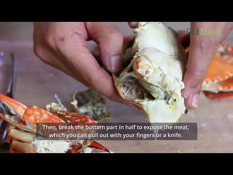 How to Eat Crabs