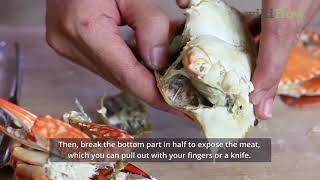 How to Eat Crabs