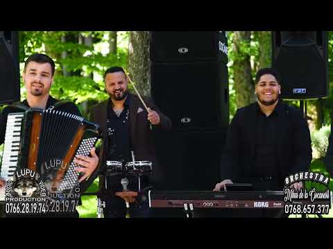 Mihai de la Ciocanesti - La viata mea, am o dambla - 2025