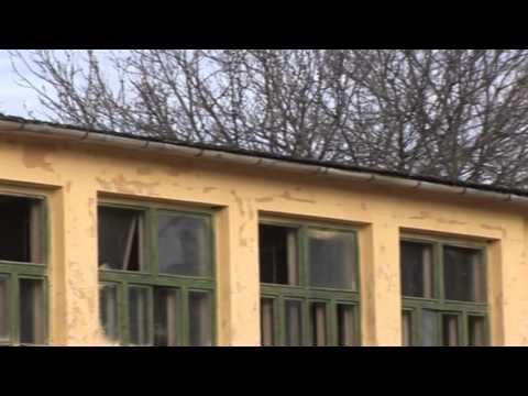 La Şcoala din Teremia Mare