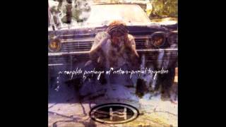 The Buzzhorn - Holy Man (ACPOAPT Version)