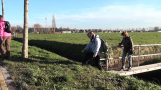 preview picture of video 'Deelnemers wandeltocht door Aalburg genieten (video)'