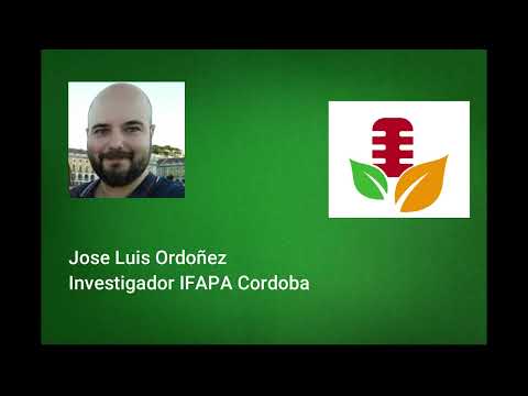 Jose Luis Ordoñez Investigador IFAPA Cordoba