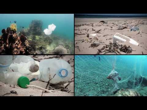 Vista previa del video