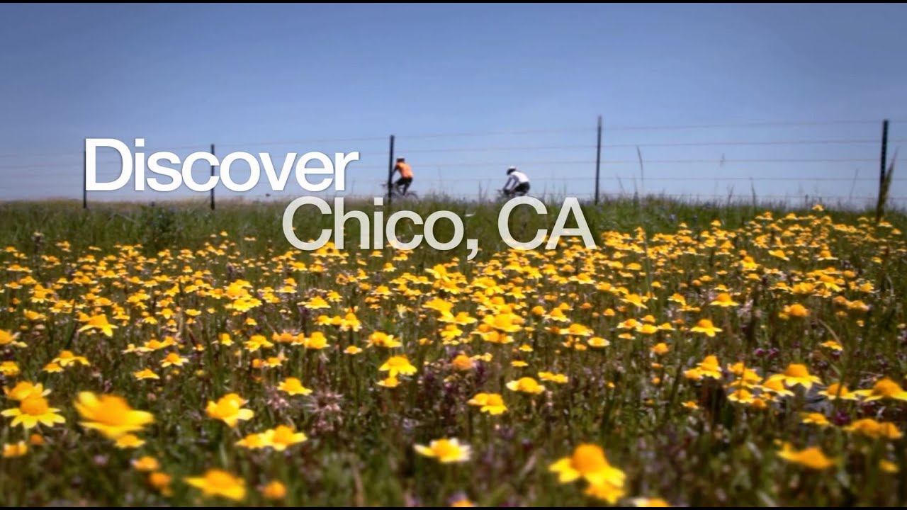 DISCOVER CHICO