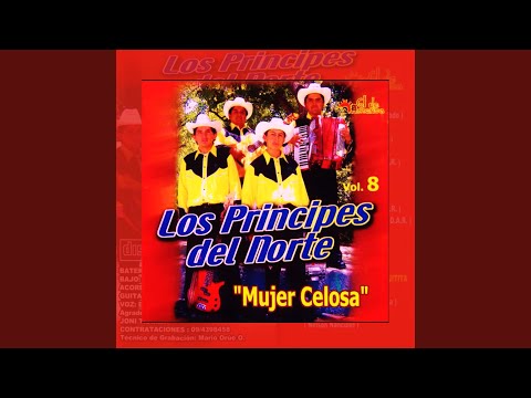 El Picaflor / Que Te Pasa Negra