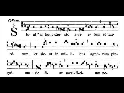 7th Sunday after Pentecost OFFERTORY:  Sicut in holocáusto  (solfeggio)