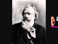 Brahms - Symphony No. 2 in D major - III. Allegretto grazioso (quasi andantino)