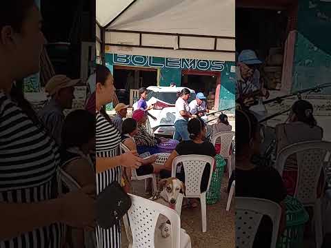 jornada de castración y esterilización en magangue bolivar Colombia
