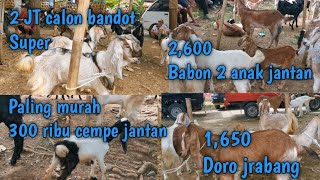 Download lagu Today's goat prices at Cipari market mp3