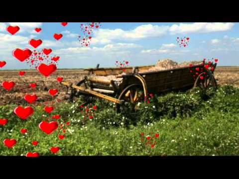 Slavonija na srcu mi piše •♥•﻿ Željko Lončarić Žec