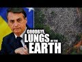 Brazil’s Bolsonaro Permitting “Brutal, Fast” Decimation of Amazon Rainforest
