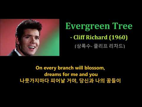 Evergreen Tree - Cliff Richard (1960) (상록수- 클리프 리차드)가사 한글자막