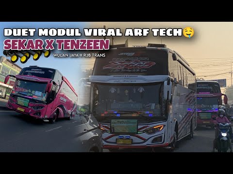 18 CORONG VS 6 CORONG KERAS MANA SUARANYA?? NGOYOD WULAN JAYA X RJB TRANS!! FULL MODUL VIRAL😱