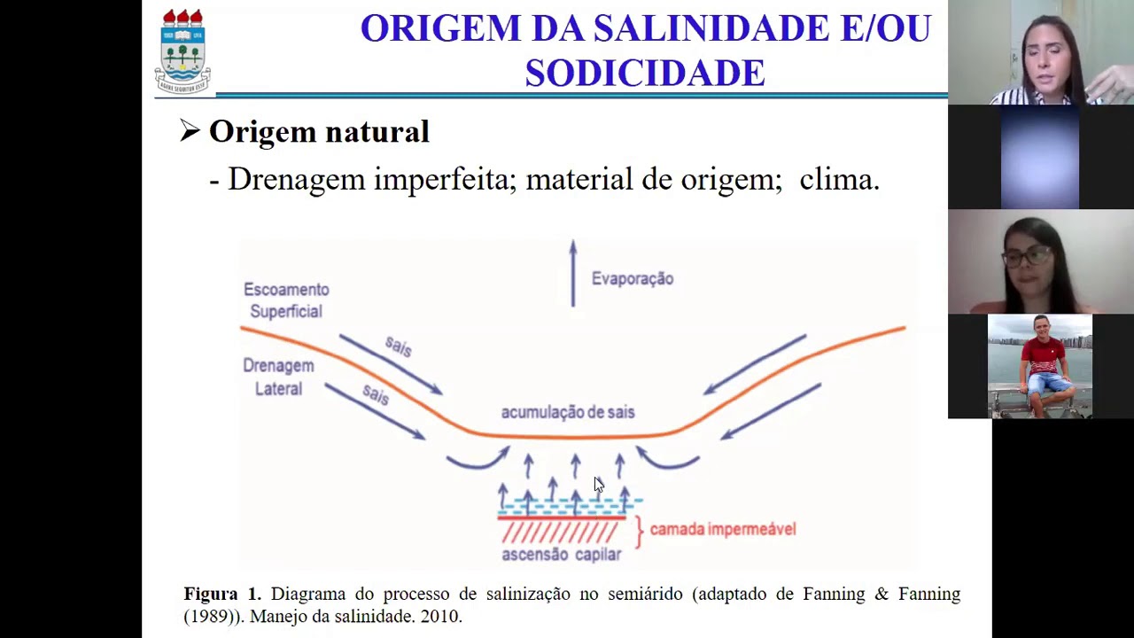 Salinidade e sodicidade do solo: Origem natural