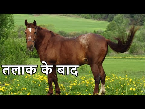 छोटी कहानी Blog 156 - तलाक के बाद