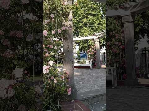 💐 GAZEBO CON FLORES, PLAZA DE ROSARIO, COLONIA. URUGUAY.