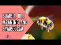 Bumble Bee Meaning And Symbolism