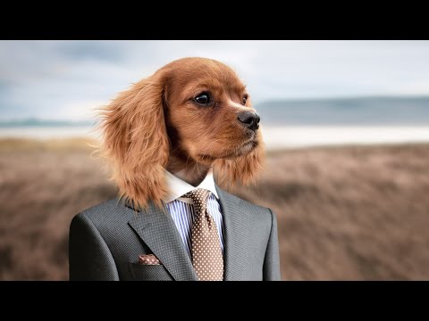 Alex E. Magnus feat. Pfeffermatz - So viel Potenzial