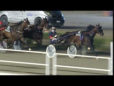 Napoli Trotto 25/08/2023 - 6ª corsa