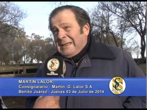 Martin G. Lalor S.A. - Martin Lalor - Benito Juarez - 03/07/2014
