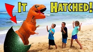 OUR DINOSAUR EGG HATCHED! T-Rex in Real Life! Jurassic World (skit)