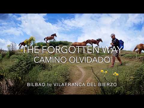 Den Camino Olvidado : Spaniens vergessener Camino (Fast keine Pilger!)