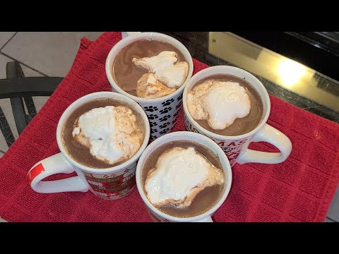 Hot Chocolate with Marshmallow or whipped cream topping