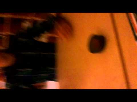 Magnus - The Epic Coin Thrower!!!