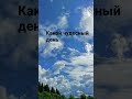 какой чудесный день какой чудесный пень