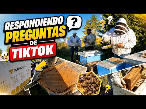 RESPONDIENDO PREGUNTAS DE TIK TOK 🫡🐝🍯