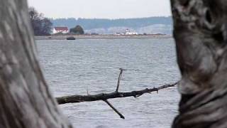 preview picture of video 'Hansville,Point No Point,Feburary 17 2009,Puget Sound'